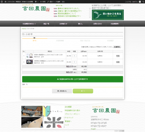 screencapture-www-yof21-com-usces-cart