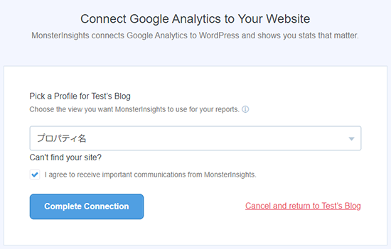 Connect MonsterInsights