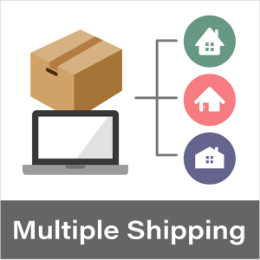 Multiple Shippingの商品画像